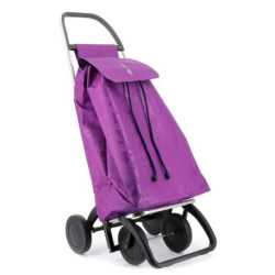 CARRO DE COMPRA ROLSER SAQUET GLORIA DOS 2 MORE